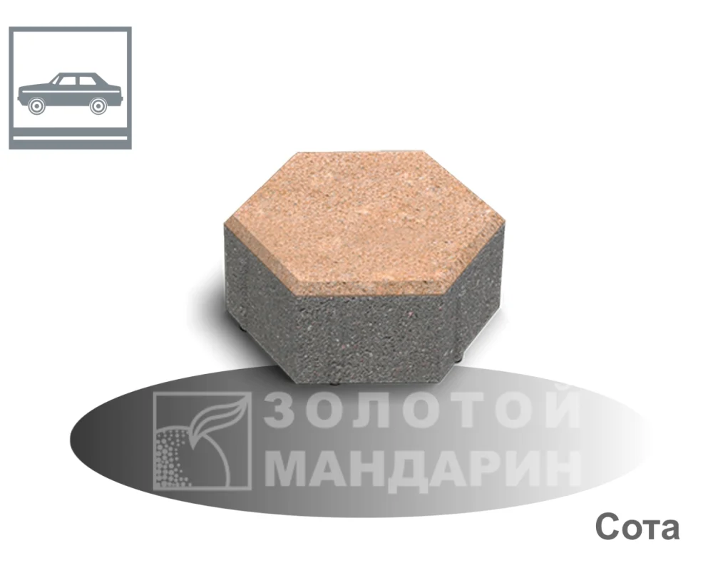 Сота Золотий Мандарин h60