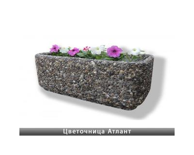 Квітник Атлант