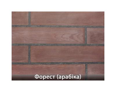 Форест Арабіка