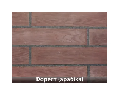 Форест Арабіка