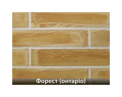 Форест Онтаріо