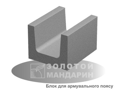Блок для армувального поясу 300*250*200
