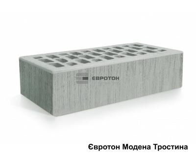 Цегла лицювальна Євротон Модена "Тростина" М300